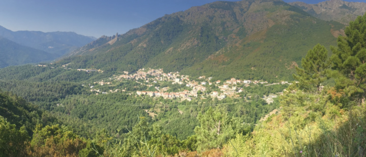 Cette réunion d'importance stratégique a eu lieu à Venacu