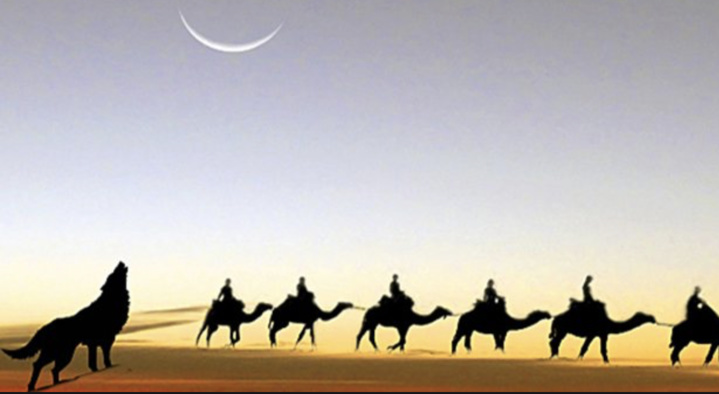 Laisser aboyer les chiens... Laisser aboyer les chiens...