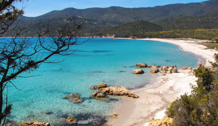 Suite la tentative d'homicide de Prupia, réaction du Cullettivu Suite la tentative d'homicide de Prupia, réaction du Cullettivu