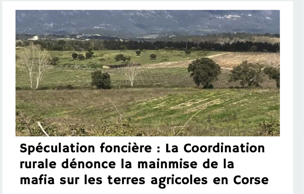 Une interview qui dénonce la mainmise de la Mafia sur des terres agricoles
